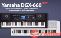 Обзор новинки Yamaha DGX-660 и сравнение с DGX-650
